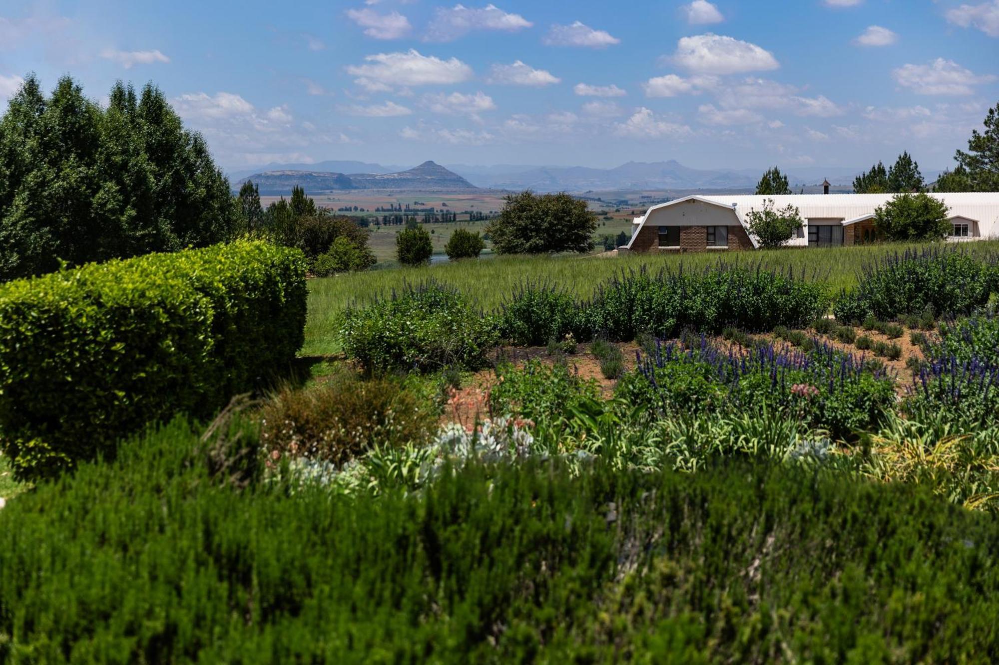 Pensjonat Lavender Hill Country Estate And Wedding Venue Bethlehem Zewnętrze zdjęcie